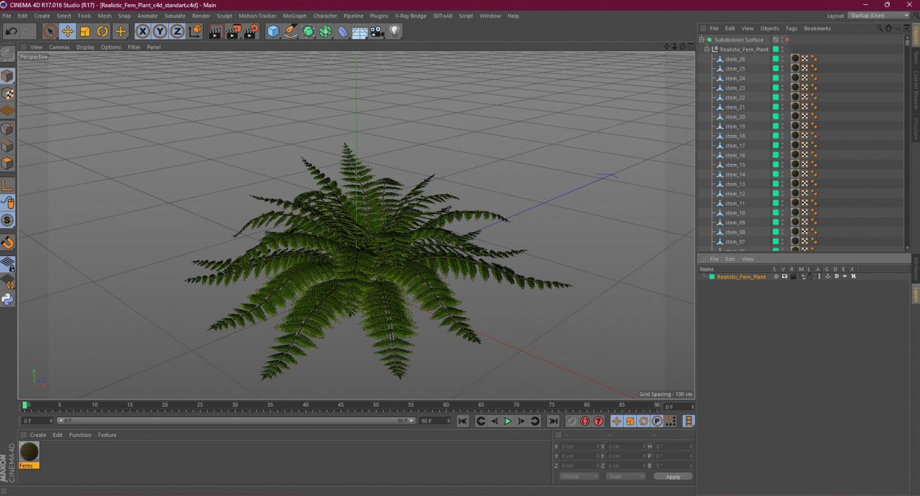 3D model Realistic Fern Plant