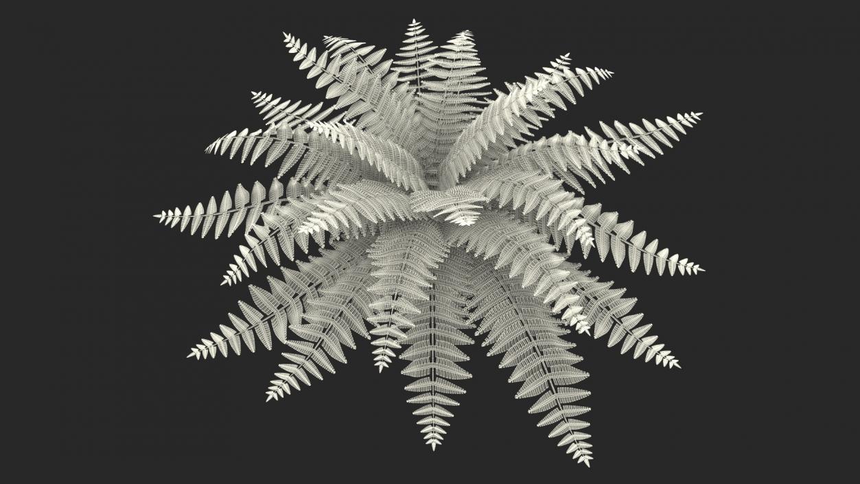 3D model Realistic Fern Plant