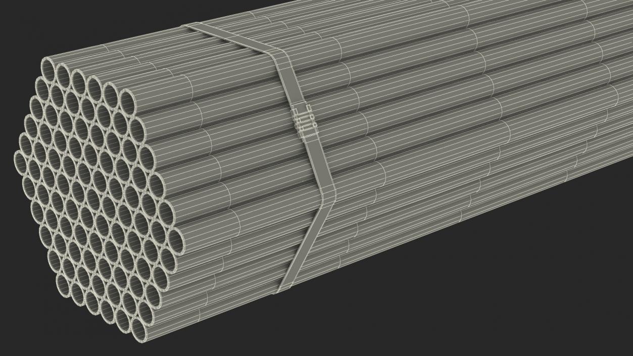 3D Thin Plastic Pipes Bundle 2 Meters 2