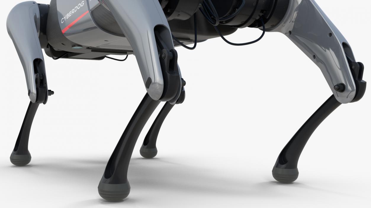 3D model Xiaomi Cyberdog