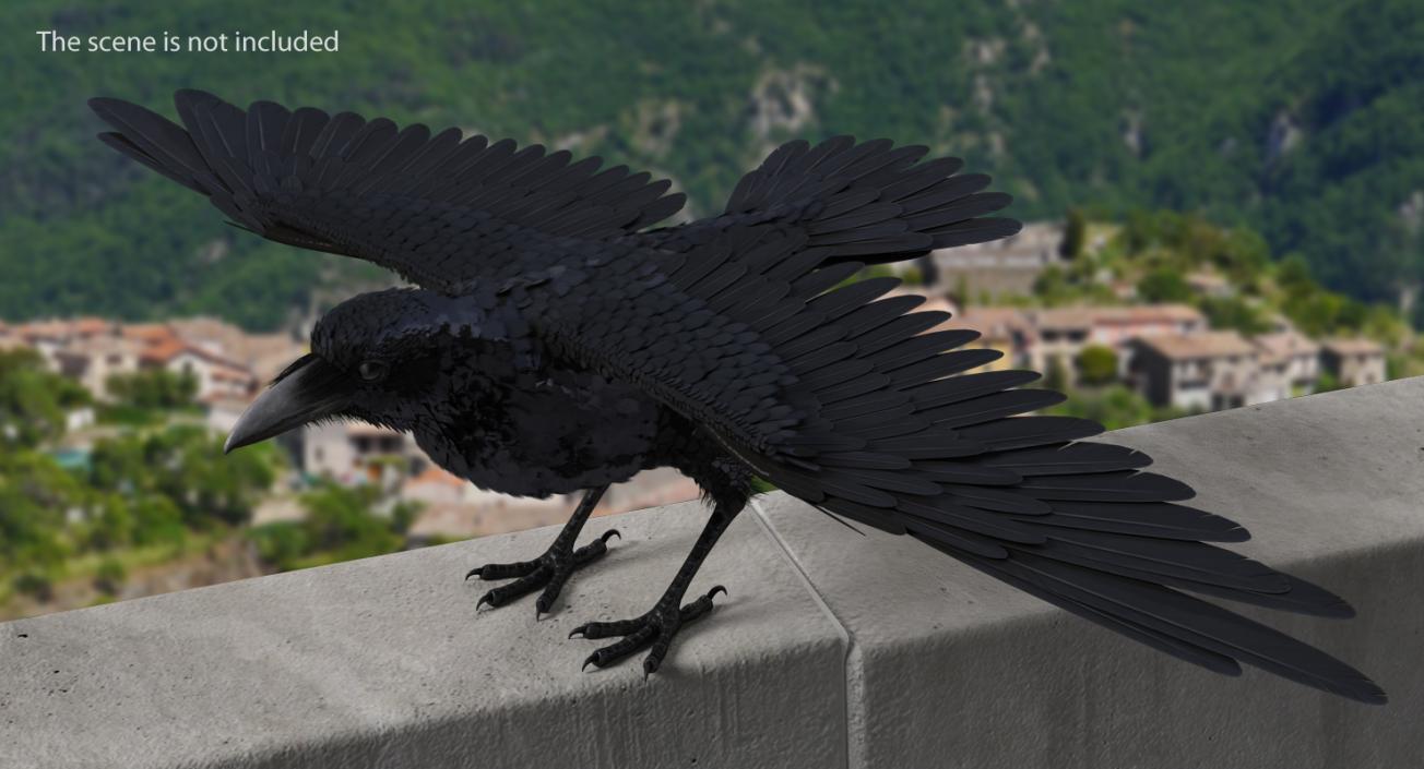 3D model Rigged Raven and Sparrow 3D Models Collection