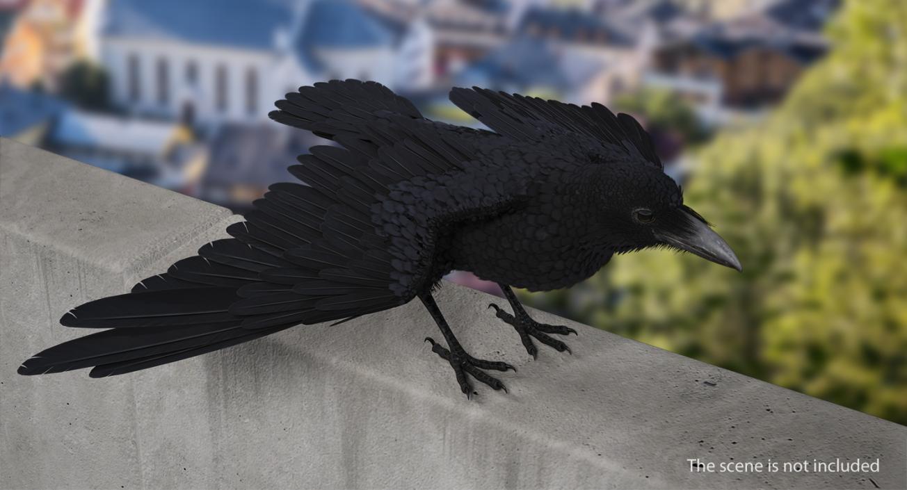 3D model Rigged Raven and Sparrow 3D Models Collection