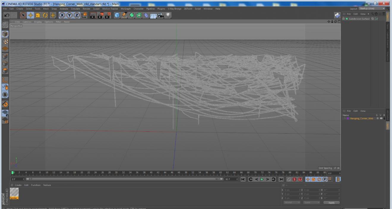 3D Hanging Corner Web model