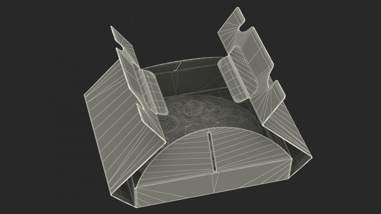 Open Box with Pizza 3D model