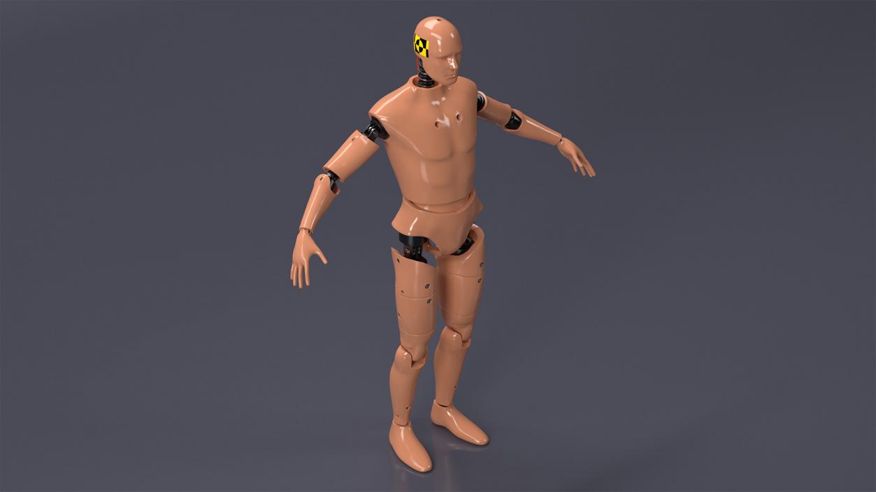 3D model Humanoid Crash Test Dummy