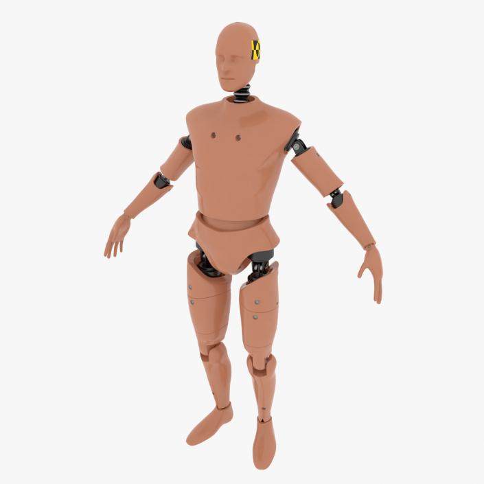 3D model Humanoid Crash Test Dummy