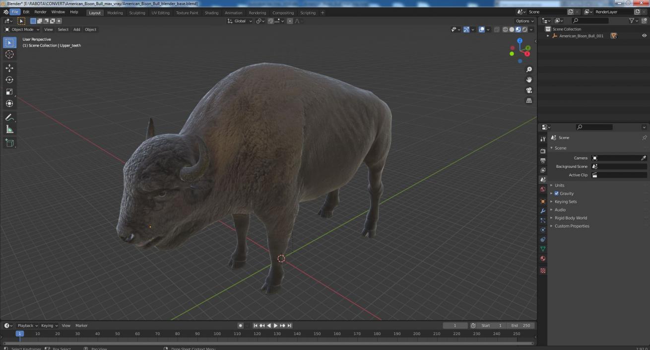 American Bison Bull 3D model