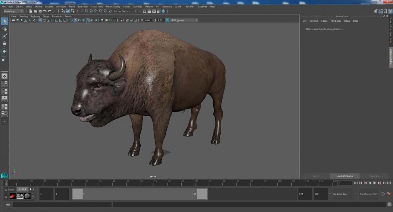 American Bison Bull 3D model