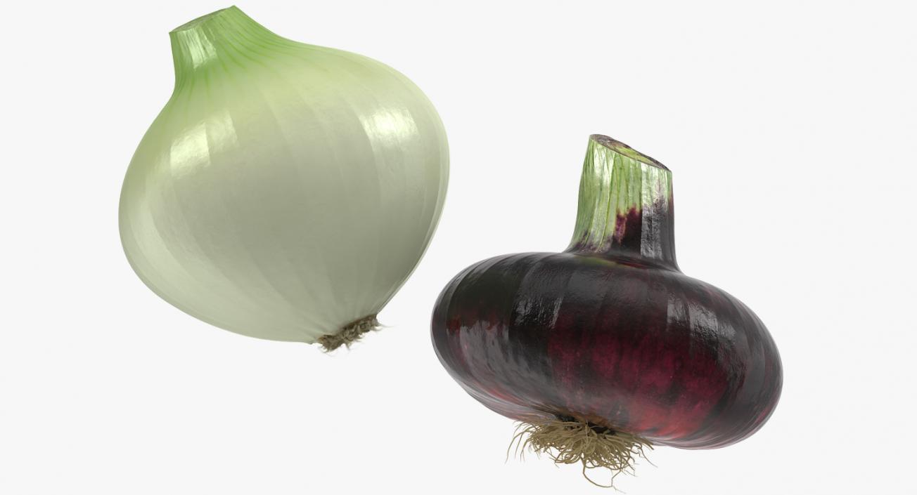 3D Onion Collection