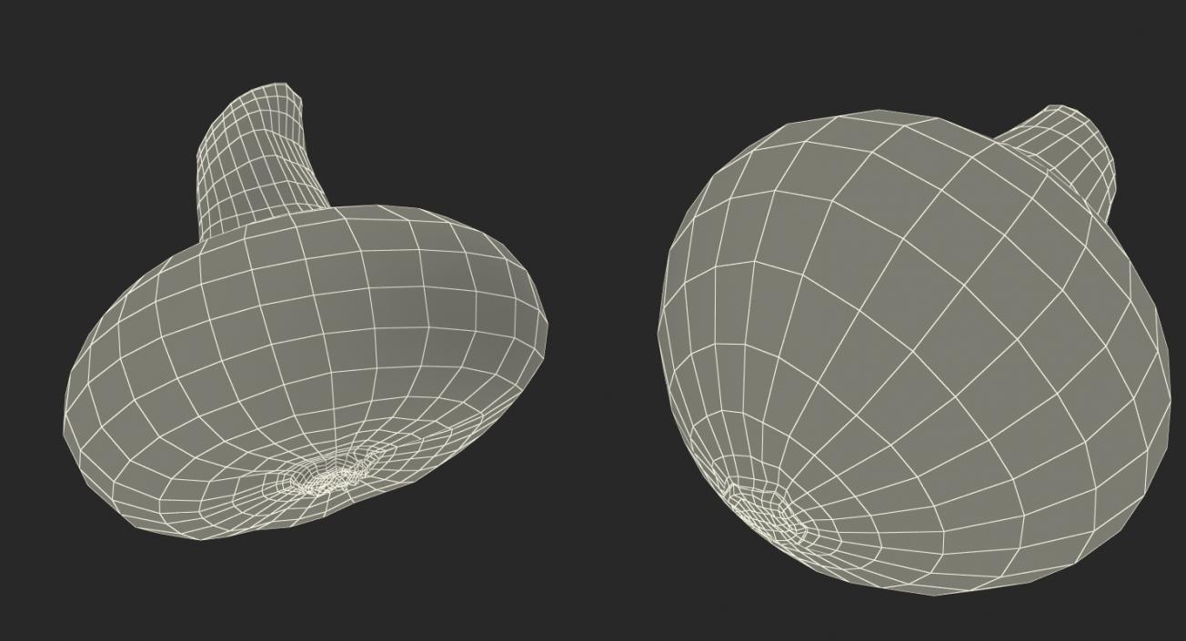 3D Onion Collection