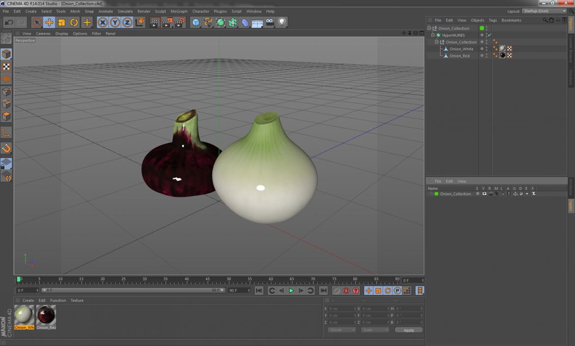 3D Onion Collection