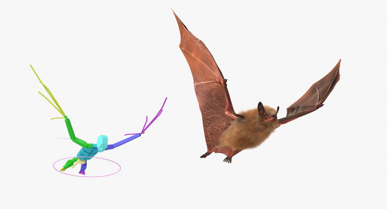 Bat with Fur Rigged 3D model