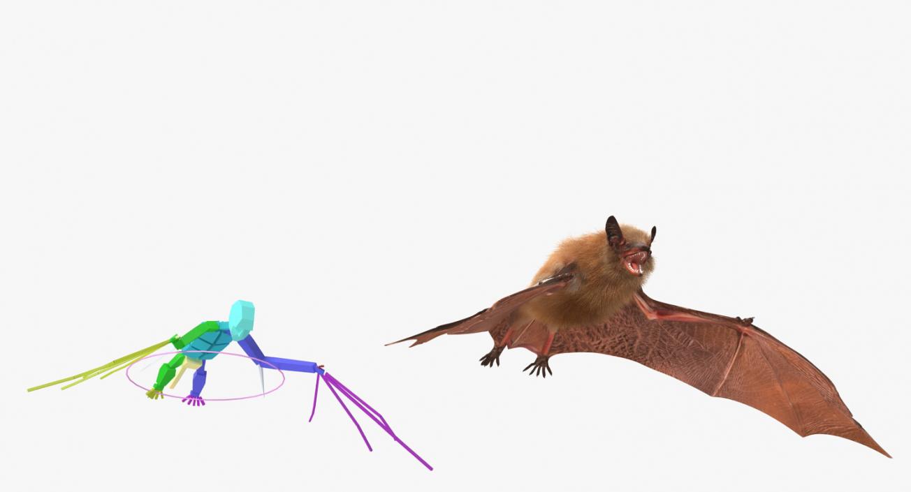 Bat with Fur Rigged 3D model