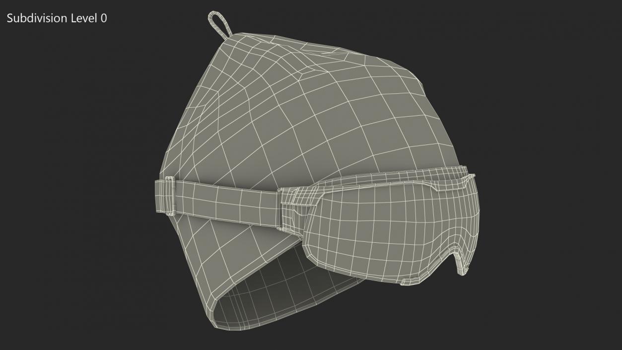 3D model Ski Cap with Goggles