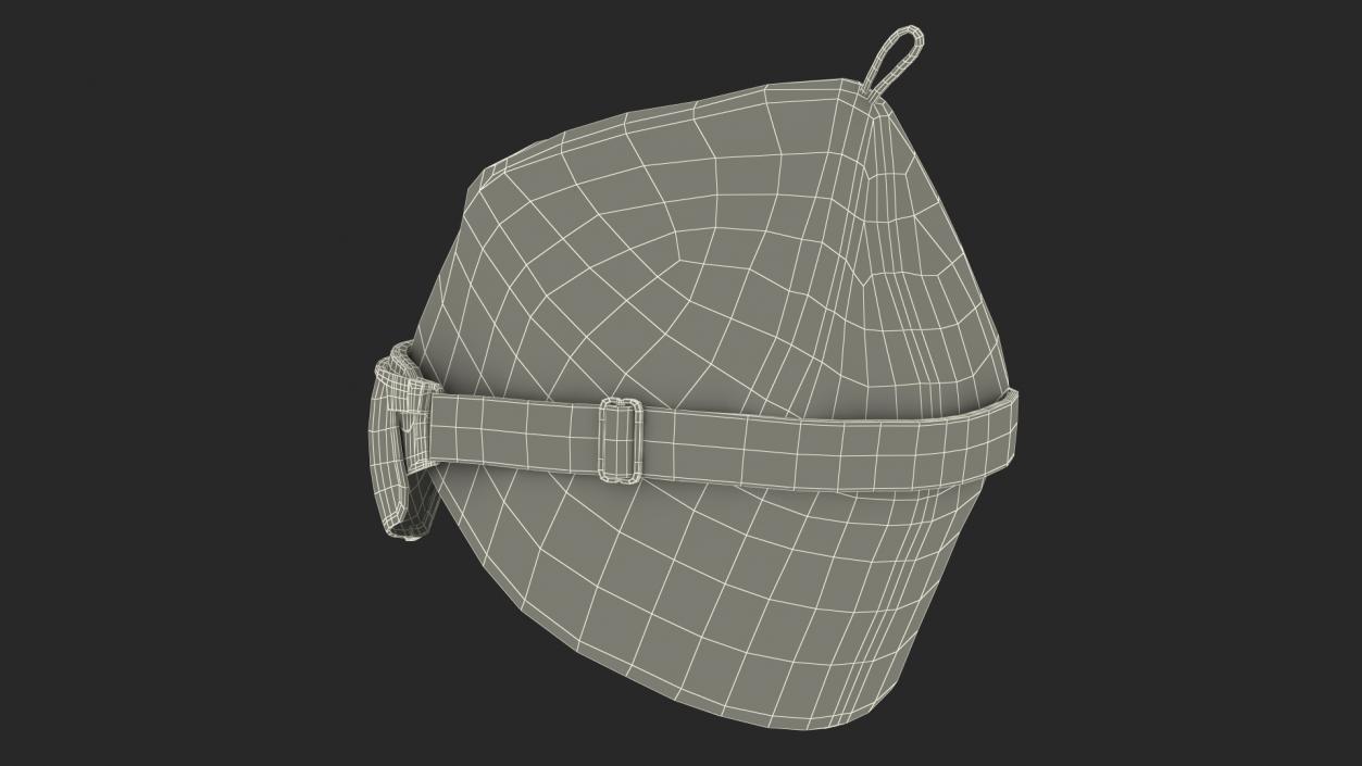 3D model Ski Cap with Goggles