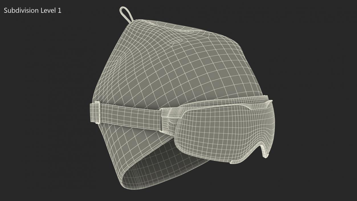 3D model Ski Cap with Goggles