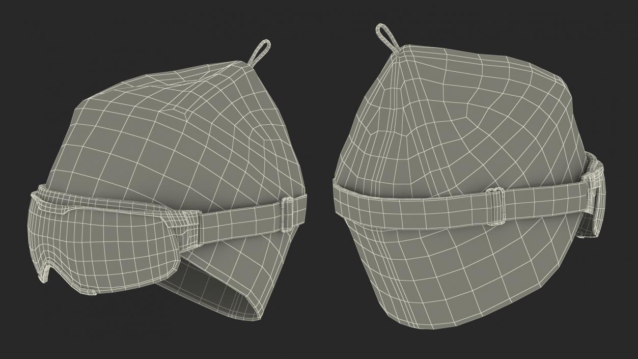 3D model Ski Cap with Goggles