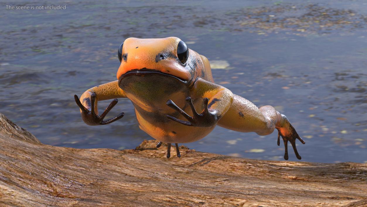 Jumping Orange Phyllobates Terribilis 3D