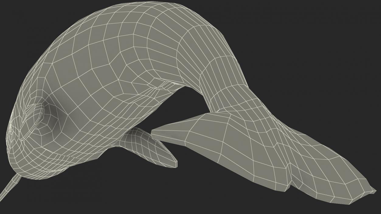 Narwhal Jumping out Pose 3D model