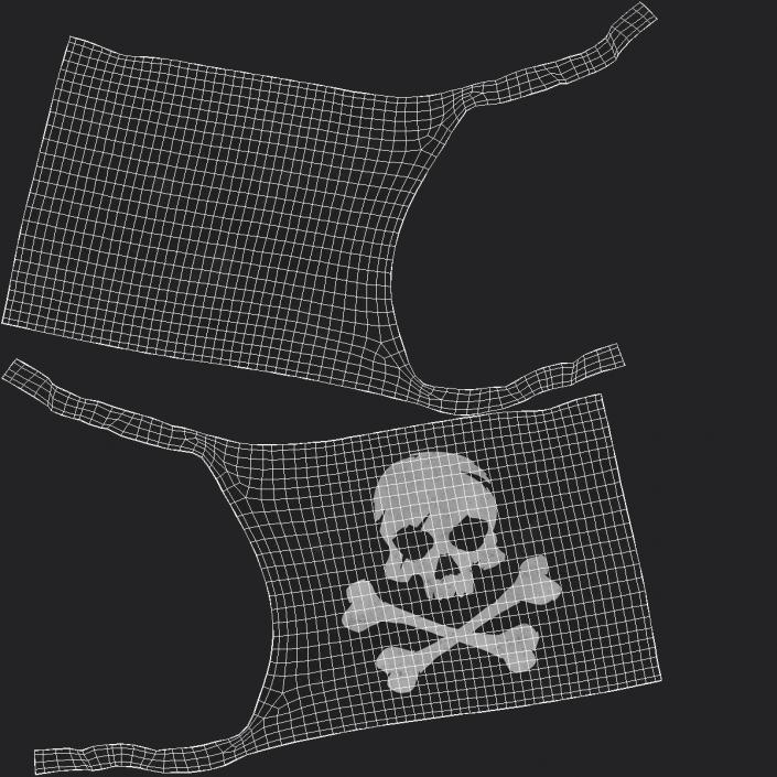 Pirate Skull and Bones Flag 3D