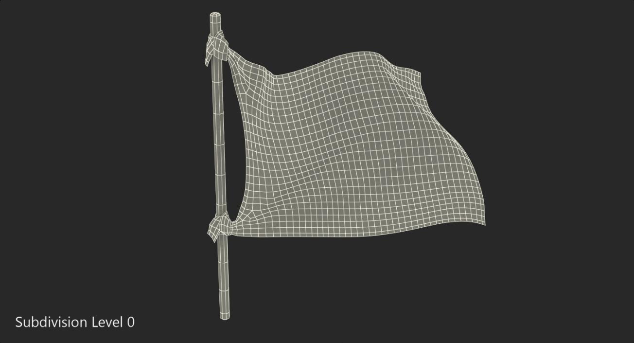 Pirate Skull and Bones Flag 3D