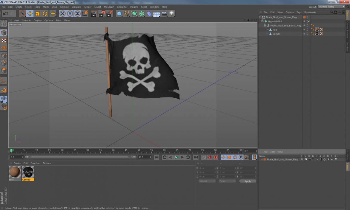 Pirate Skull and Bones Flag 3D