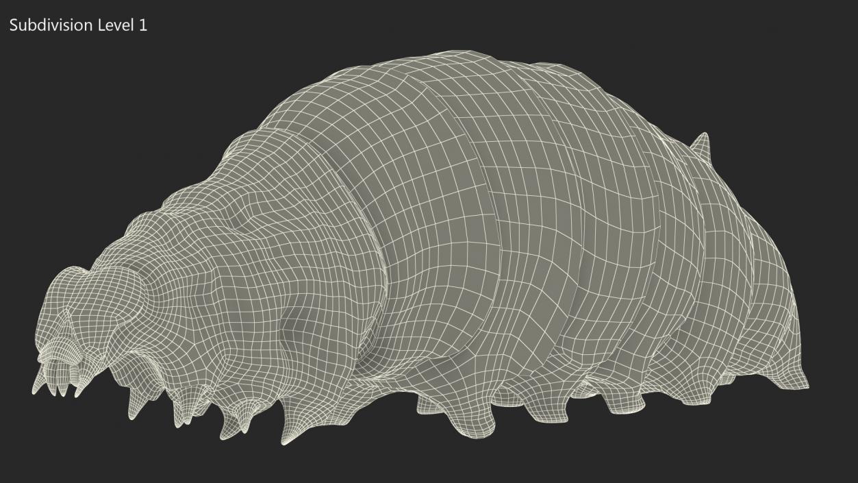 3D Silkworm White Fur model