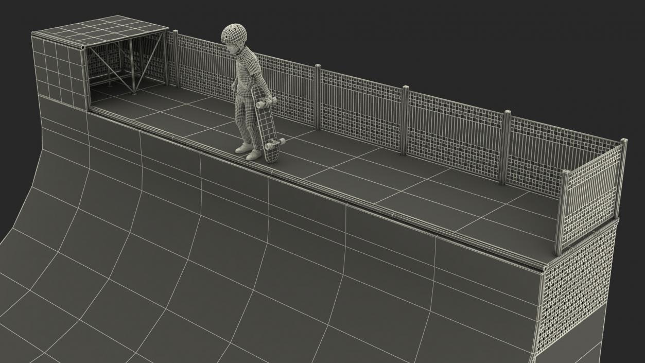 3D Skatepark Ramp and Skateboarder