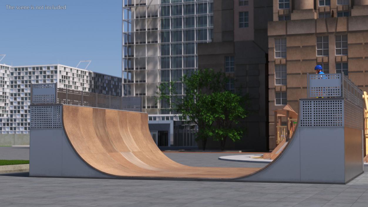 3D Skatepark Ramp and Skateboarder