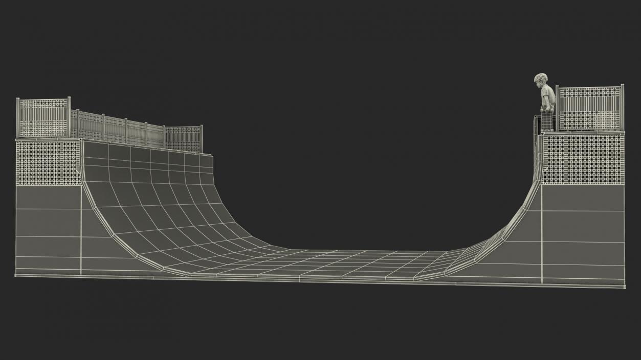 3D Skatepark Ramp and Skateboarder