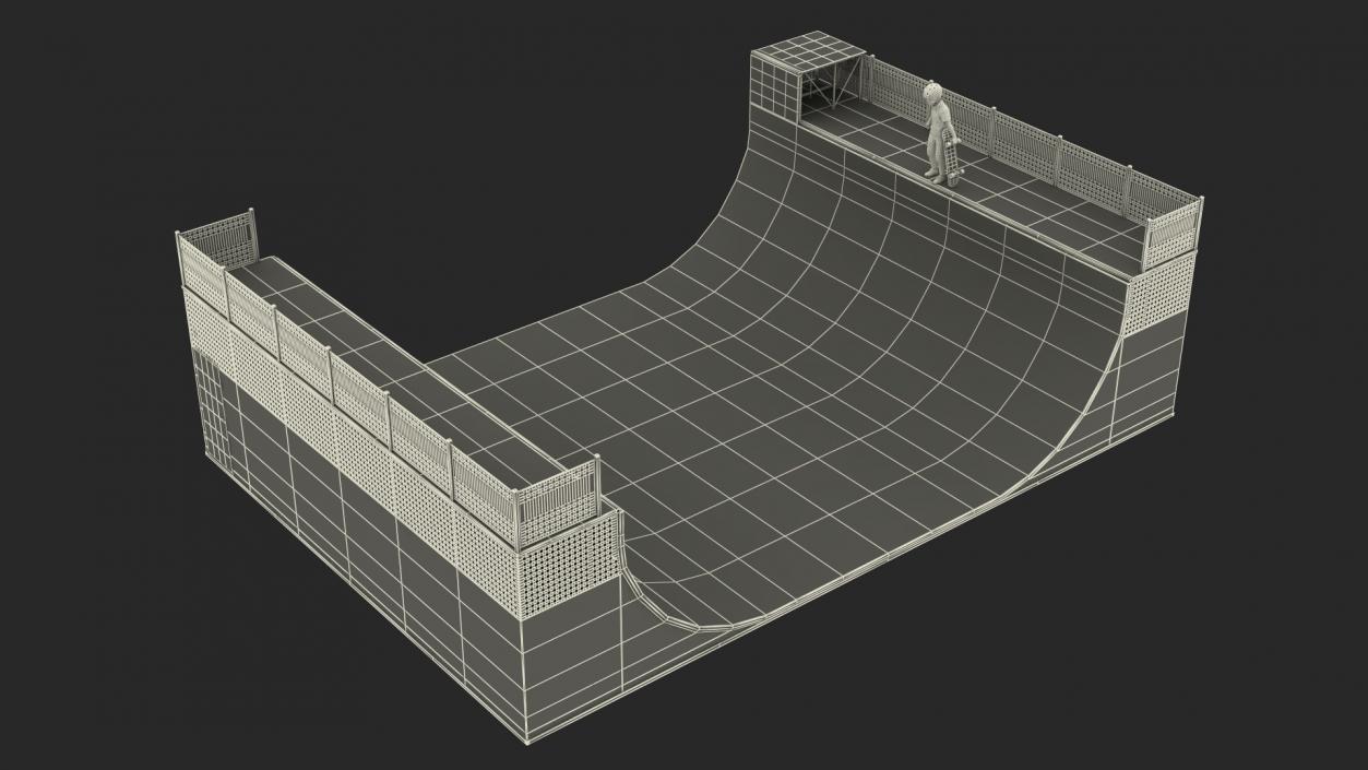 3D Skatepark Ramp and Skateboarder