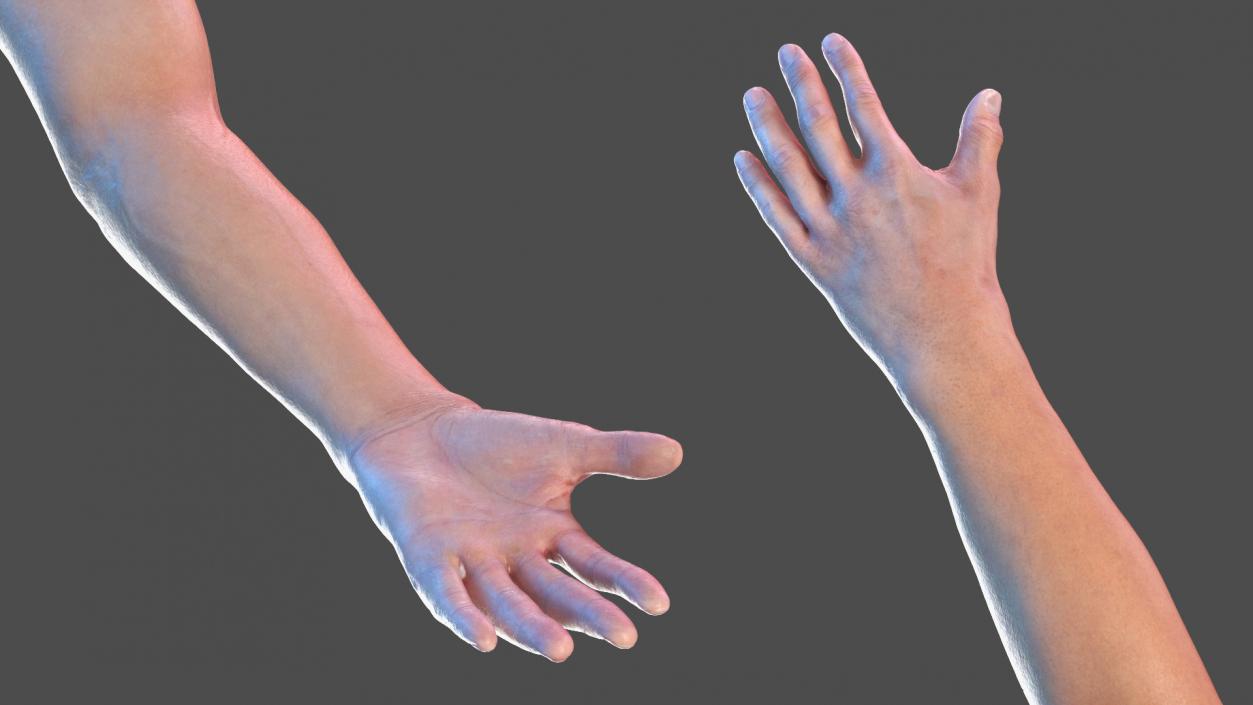 3D Arm Anatomy Asian Man