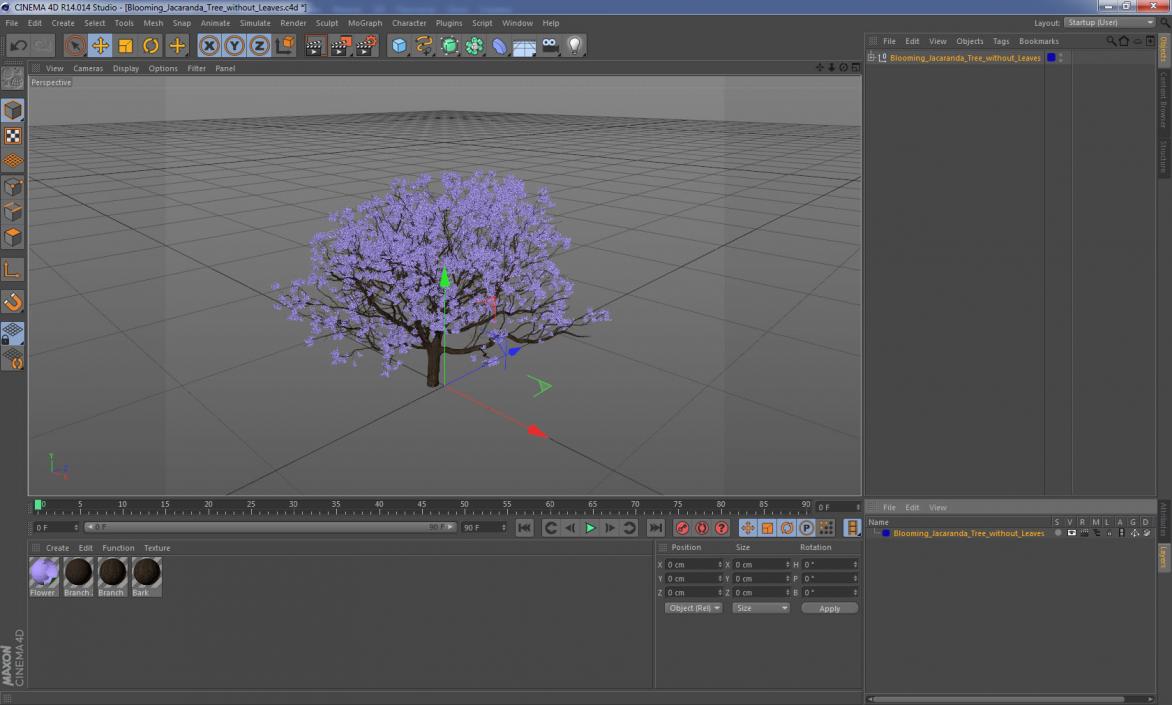 3D Blooming Jacaranda Tree without Leaves model