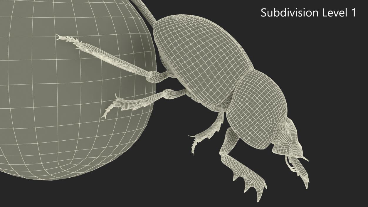 Roller Beetle Pushing Sphere Dirt Fur 3D