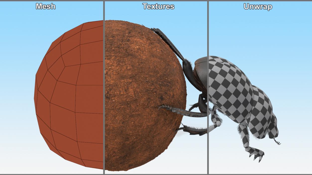 Roller Beetle Pushing Sphere Dirt Fur 3D