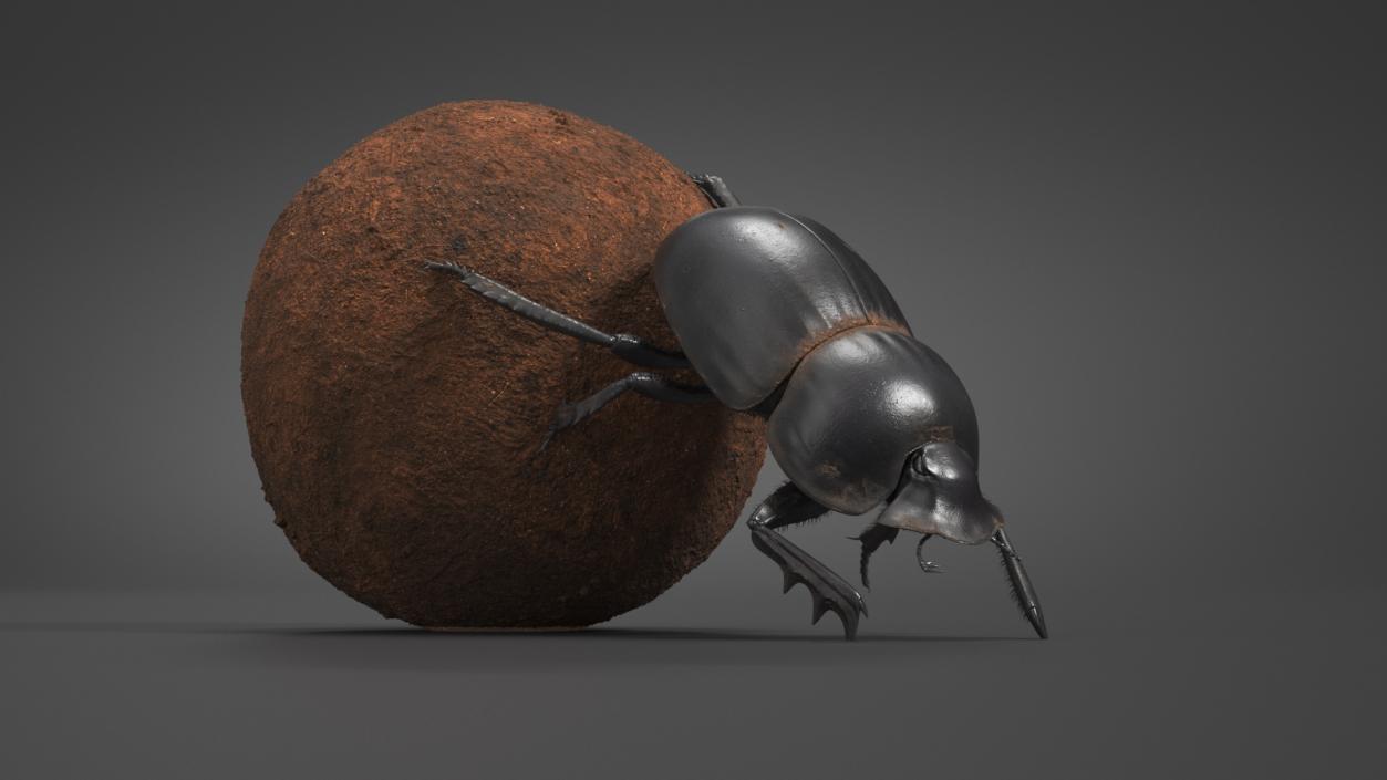 Roller Beetle Pushing Sphere Dirt Fur 3D