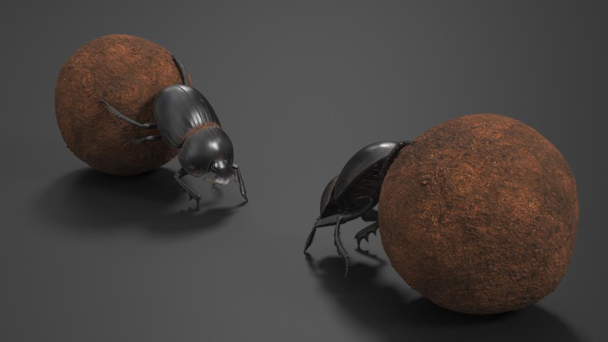 Roller Beetle Pushing Sphere Dirt Fur 3D