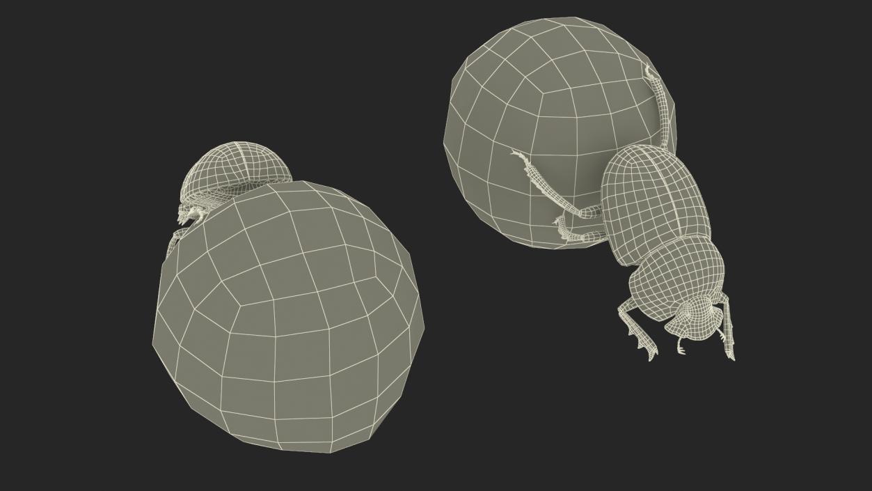 Roller Beetle Pushing Sphere Dirt Fur 3D