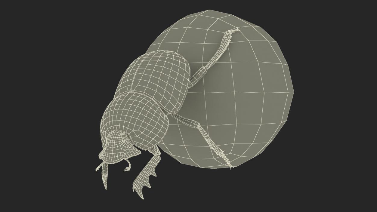 Roller Beetle Pushing Sphere Dirt Fur 3D