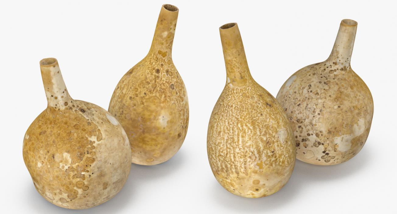 3D model Gourd Containers Set