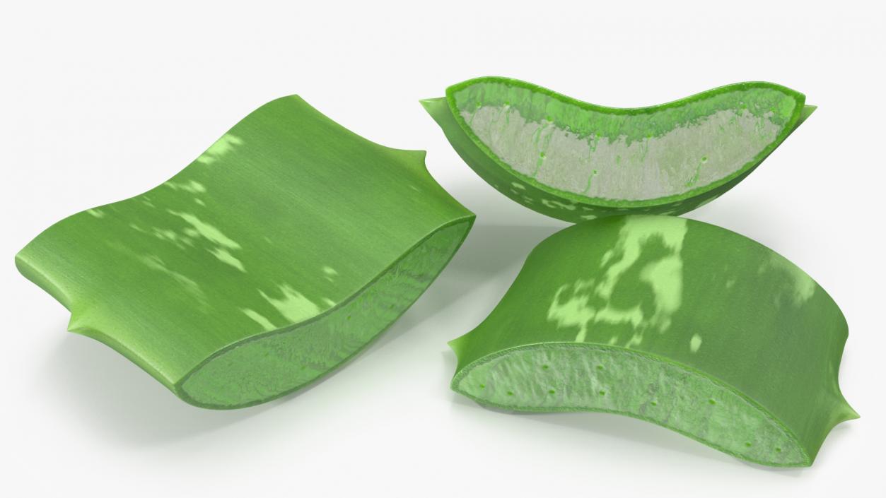 3D Aloe Pieces