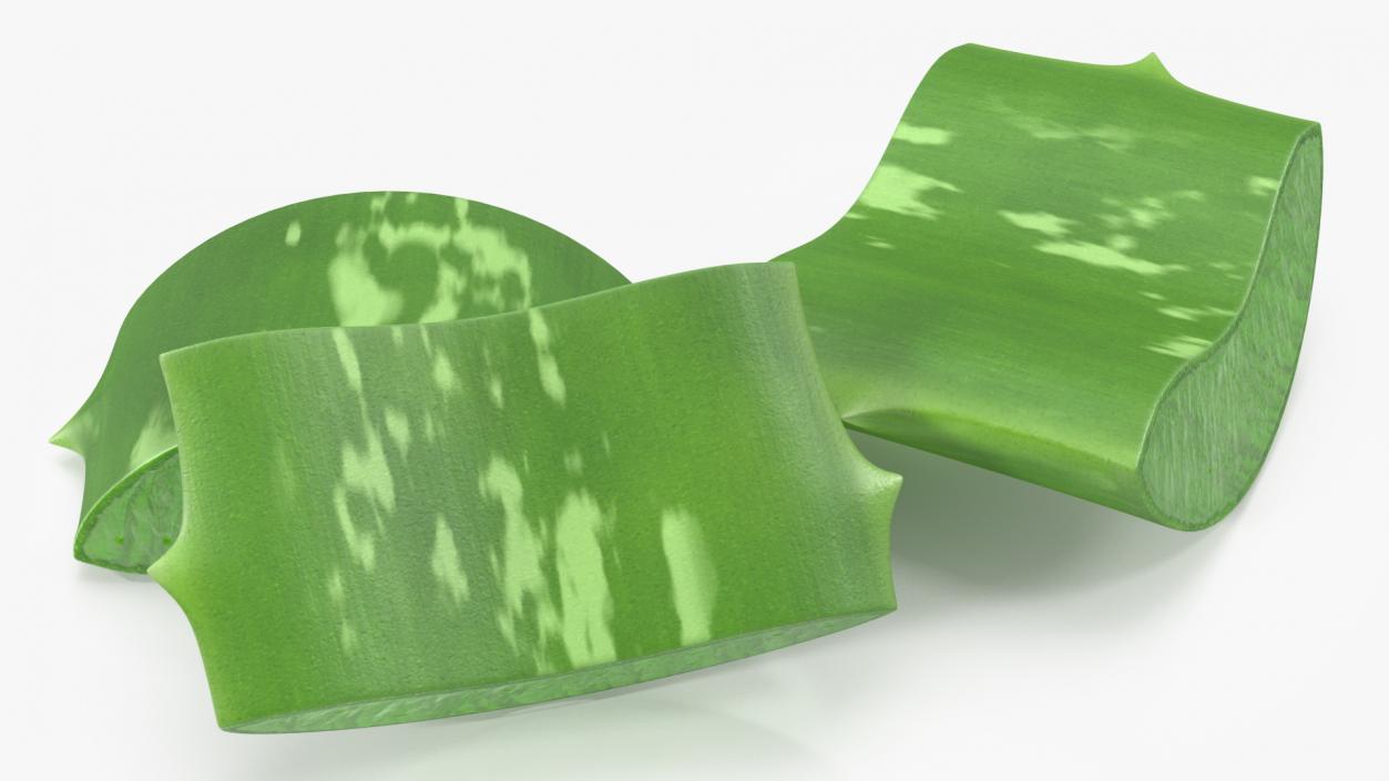 3D Aloe Pieces