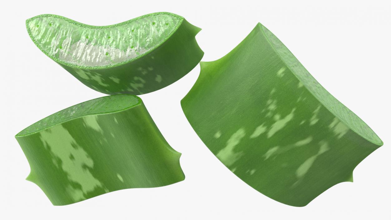 3D Aloe Pieces