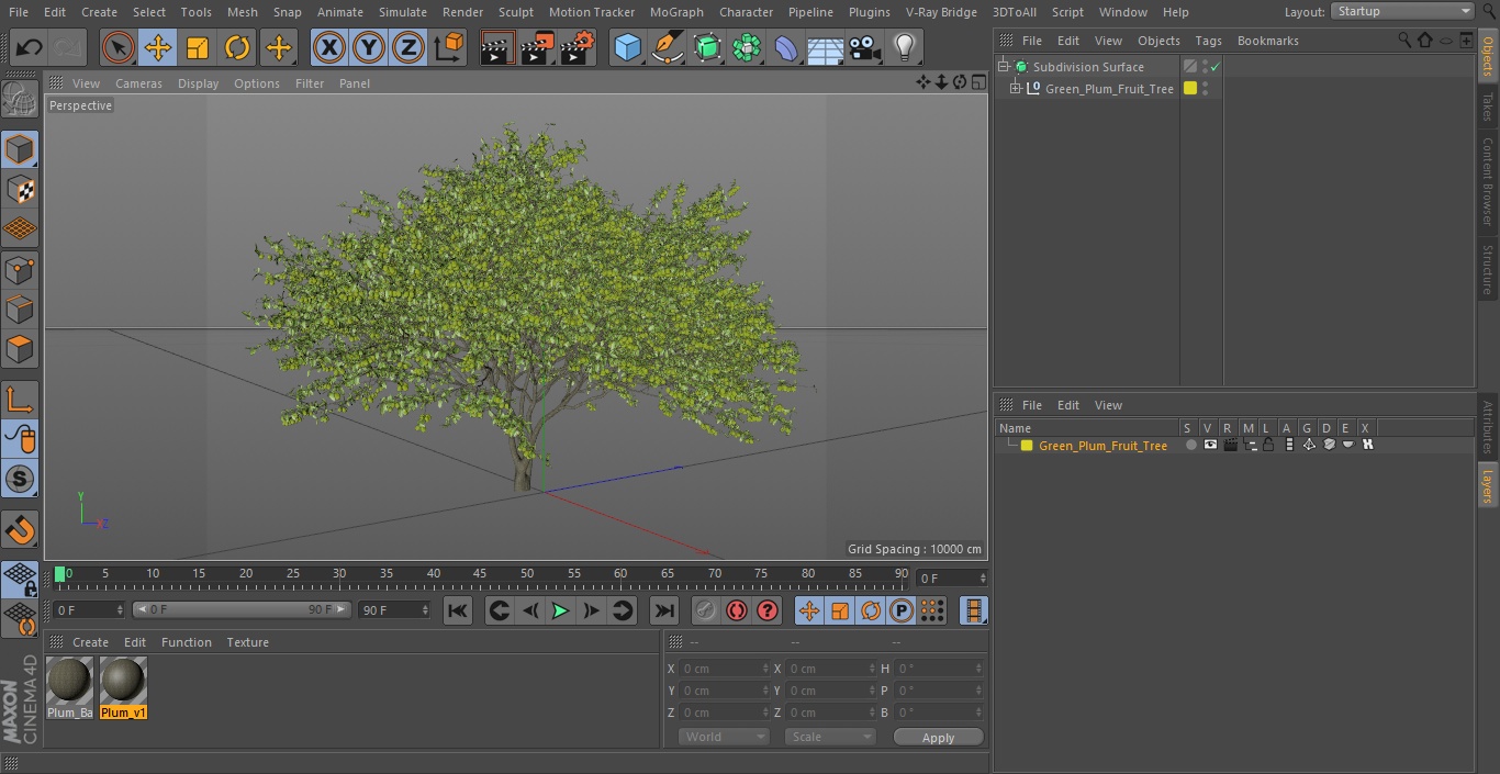 3D Green Plum Fruit Tree