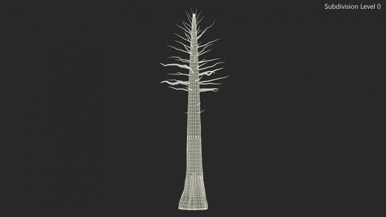 Giant Sequoia Trunk 3D model