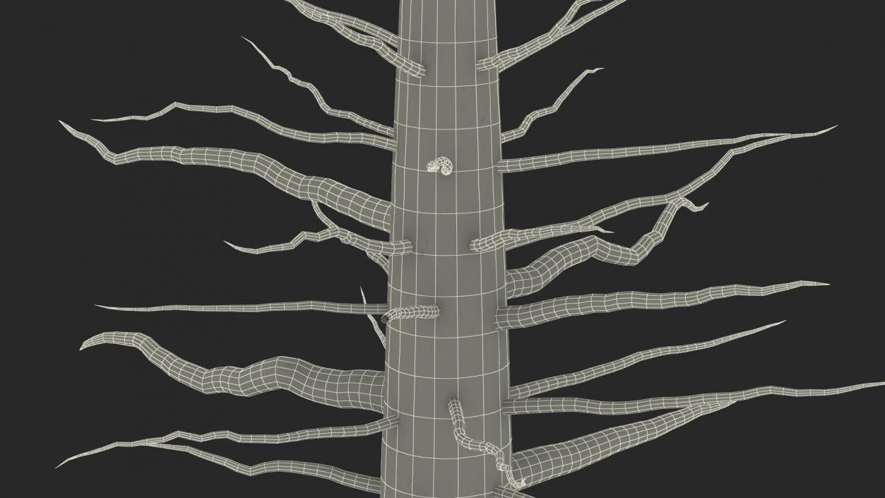 Giant Sequoia Trunk 3D model