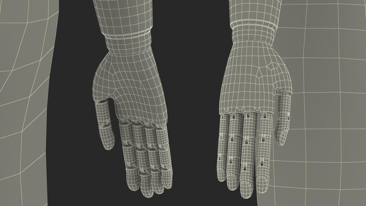 3D Flexible Manikin