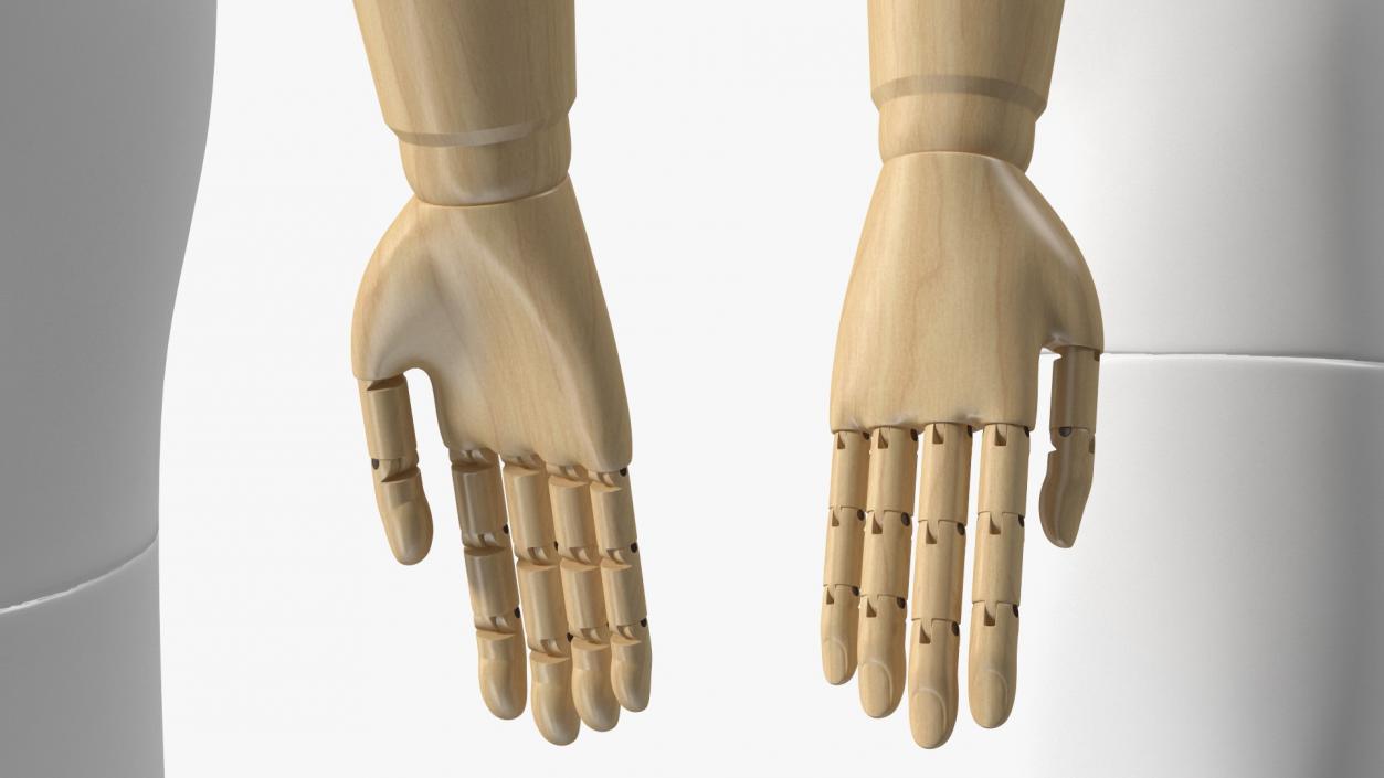 3D Flexible Manikin