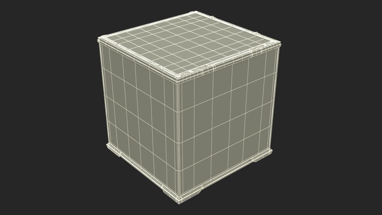 Small Empty Cubic Terrarium 3D