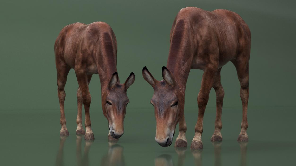 3D model Eating Bay Mule